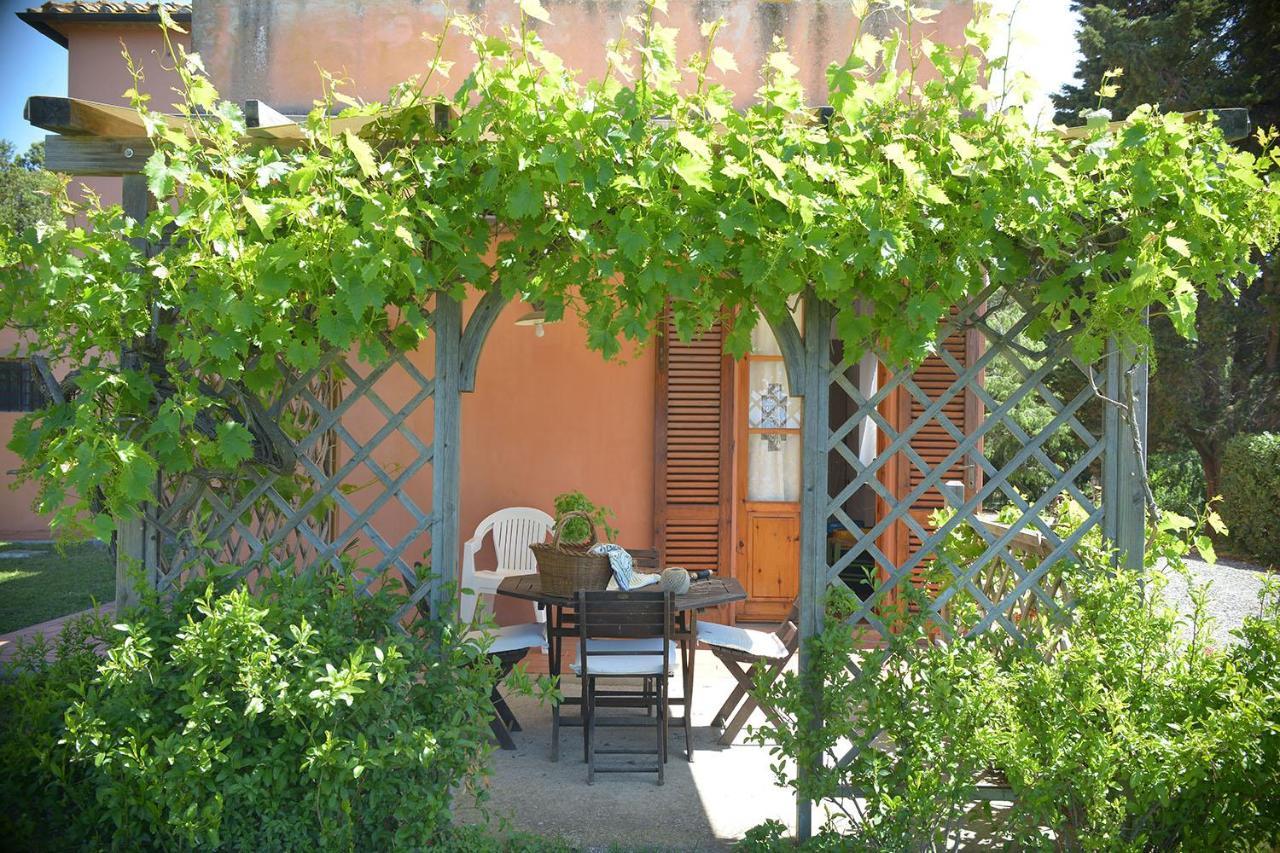 Agriturismo Le Cerbonche 罗西尼亚诺马里蒂莫 外观 照片
