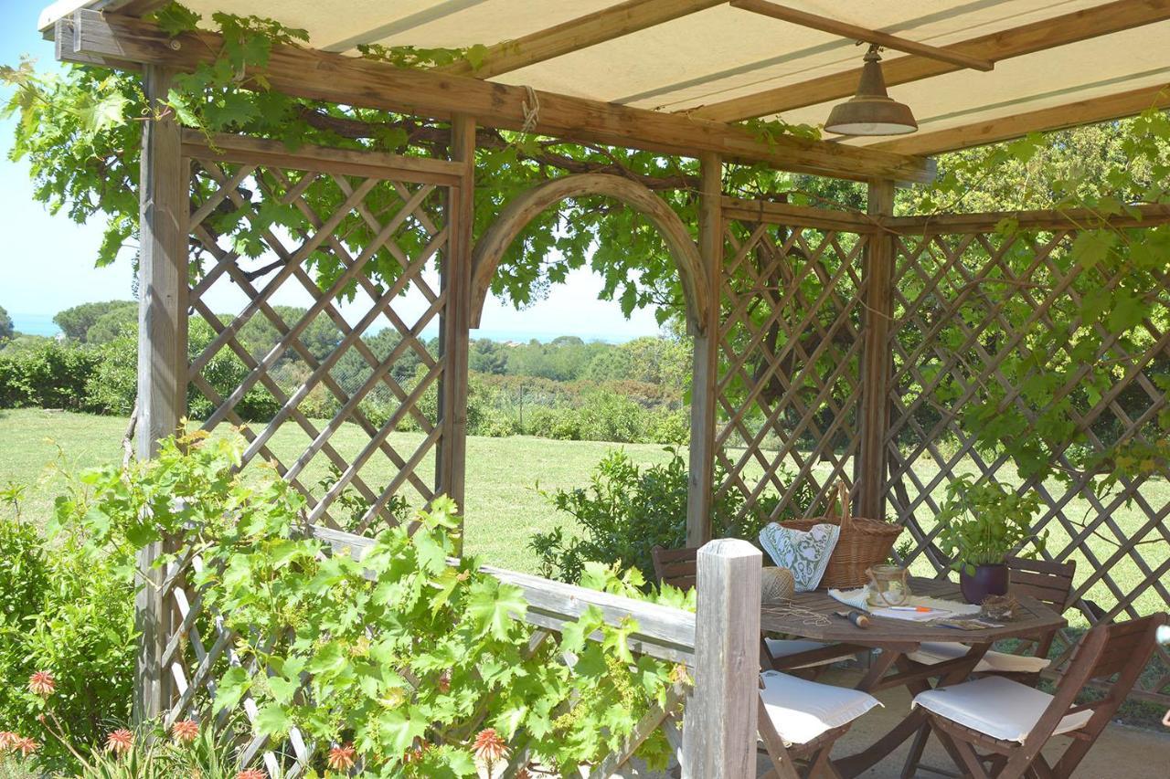Agriturismo Le Cerbonche 罗西尼亚诺马里蒂莫 外观 照片