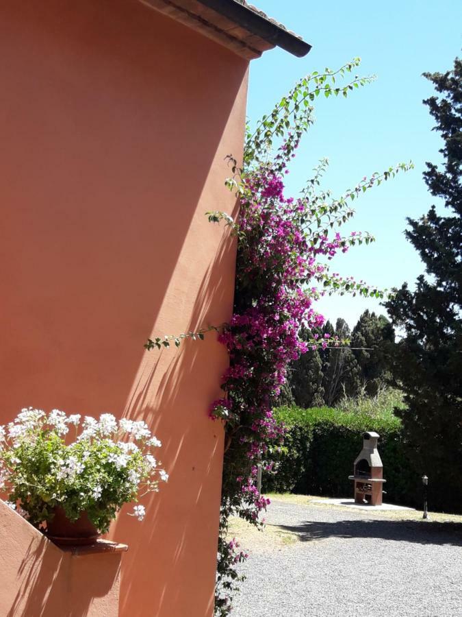 Agriturismo Le Cerbonche 罗西尼亚诺马里蒂莫 外观 照片